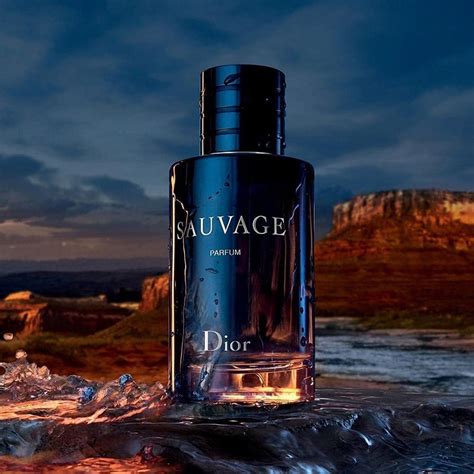 dior 200 ml sauvage|dior sauvage price.